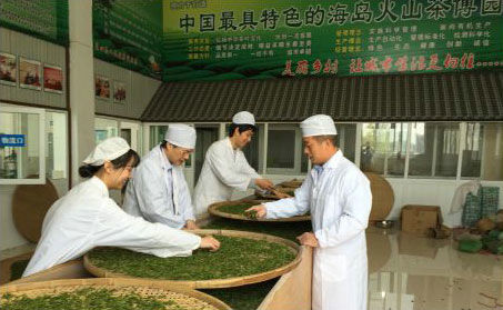 浙江大學湯一教授親自帶團隊來火山茶基地支持火山紅茶研發(fā)。